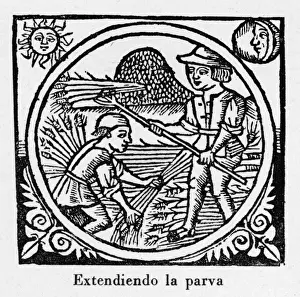 Agricultural Laborer Prints: Threshing, Spain 1511 -2