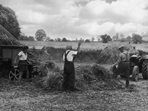 Britain Farming History Prints: Threshing Straw