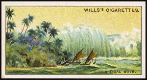 Natural Disaster Images Prints: TIDAL WAVE, 1908