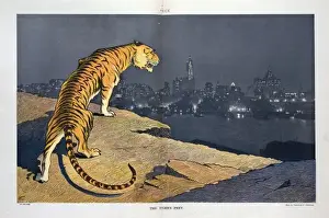 New York City Skyline At Night Prints: The tigers prey
