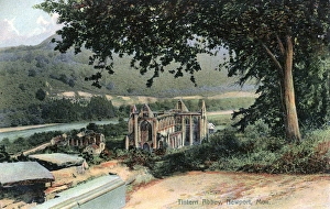 Tintern Abbey, Tintern, Monmouthshire Tintern Abbey, Tintern, Monmouthshire