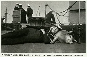 Tirpitz the pig: naval mascot of HMS Glasgow, WW1 Tirpitz the pig: naval mascot of HMS Glasgow, WW1