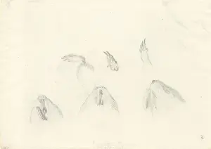 Captain Cook Second Voyage Prints: Tofer capensis