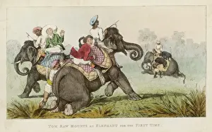 Colonial Era Images Prints: Tom Raw : on Elephant