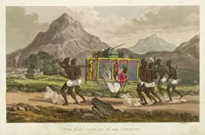 19th Century Prints: Tom Raw : in Litter