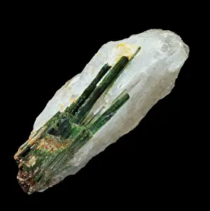 South American Minerals Prints: Tourmaline