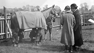 Early Towcester Races Paddock Print, 1905
