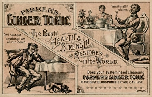 Trade card from Parkers Ginger Tonic, New York City Trade card from Parkers Ginger Tonic, New York City