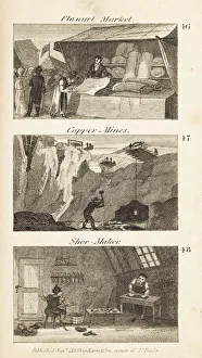 Trades in Regency England: flannel market, copper Trades in Regency England: flannel market, copper