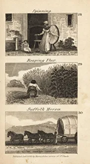 Trades in Regency England. Spinning, reaping flax Trades in Regency England. Spinning, reaping flax