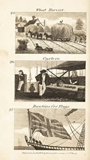 New images august 2021/trades regency england wheat harvest oysters New images august 2021/trades regency england wheat harvest oysters