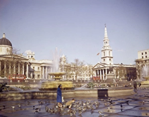 Trafalgar Square with fountains and pigeons, London Trafalgar Square with fountains and pigeons, London