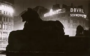 Trafalgar Square Lion at Night Print, 1924