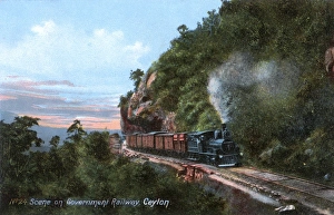 Train on Government Railway, Ceylon (Sri Lanka) Train on Government Railway, Ceylon (Sri Lanka)