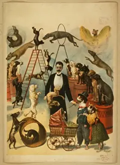 Antique Circus Posters For Sale Prints: Trained dog act