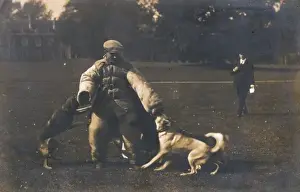 Police Dog Training Prints: Training Dog to Attack