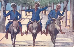 Travel Through Egypt Young Egypt Ass-stride Print circa 1908