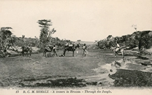 Travelling through Somalias savanna Travelling through Somalias savanna