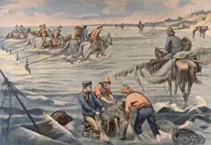 Historical Marine Life Prints: Trawling with Horses