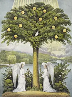 Bible Illustration Prints: The tree of life