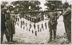 WWI Trench Life Prints: Trench Rats
