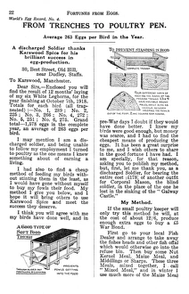From the trenches to poultry pen: Fortunes from Eggs From the trenches to poultry pen: Fortunes from Eggs