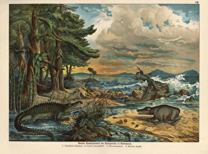 Triassic landscape with plants and amphibians Triassic landscape with plants and amphibians