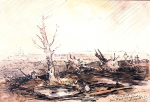 Trones Wood in distance from road to Longueval, WW1 Trones Wood in distance from road to Longueval, WW1