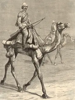 Trooper on a Camel Print, 1884