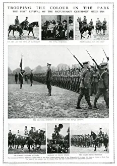 Trooping the Colour in Hyde Park, 1919 Trooping the Colour in Hyde Park, 1919