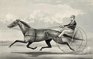 The trotting mare Goldsmith Maid driven by Budd Doble The trotting mare Goldsmith Maid driven by Budd Doble