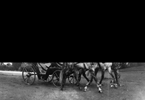Tsar Nicholas II in a Horse-Drawn Carriage Tsar Nicholas II in a Horse-Drawn Carriage