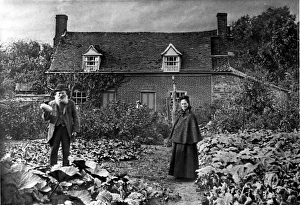 Tudor Cottage vegetable garden, Walton, Essex Tudor Cottage vegetable garden, Walton, Essex