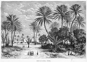 Prints of Gafsa, an oasis in the Sahara Gafsa Prints: Tunisia, Cafsa Gafsa, Oasis in the Sahara Print