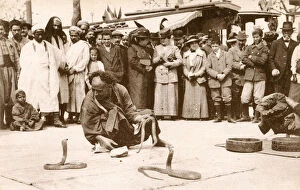 Tunis Collection: Tunisia - Tunis - Street Snake Charmer with a pair of cobras