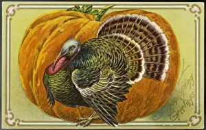 Turkey and Pumpkin Print