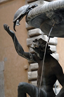 The Turtle Fountain. Detail. Turtle and bronze ephebe.16th c The Turtle Fountain. Detail. Turtle and bronze ephebe.16th c
