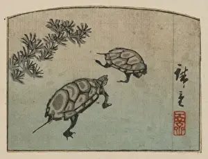 Antique Japanese Woodcuts Prints: Turtles