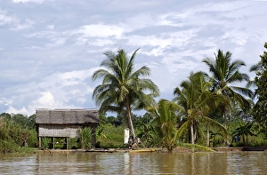 A typical Malaysian house along river Kinabatangan A typical Malaysian house along river Kinabatangan