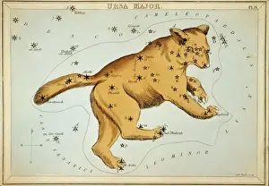 Ursa Major Constellation Prints: Ursa Major
