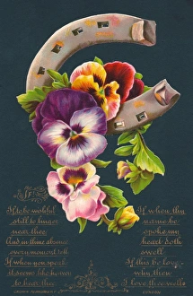 Variegated pansies on a romantic greetings card Variegated pansies on a romantic greetings card