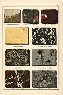 Geological Formations Prints: Varieties of marble