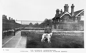 Vassilka, pet dog of Queen Mary of Teck Vassilka, pet dog of Queen Mary of Teck