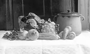 Vegetable Soup Ingredients Prints: Vegetables for Soup