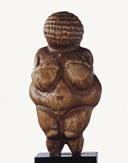 Venus of Willendorf. Paleolithic art Venus of Willendorf. Paleolithic art