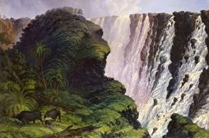 Victoria Falls Collection: The Victoria Falls, by Thomas Baines