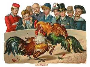 Victorian Scrap, men watching cock fight Victorian Scrap, men watching cock fight
