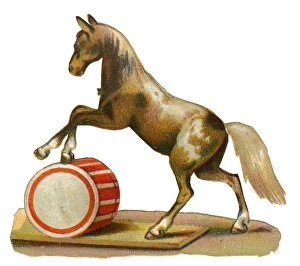 Victorian Scrap, Performing Circus Horse Victorian Scrap, Performing Circus Horse