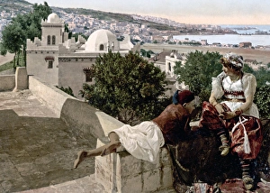 View of Algiers, Algeria, circa 1890s View of Algiers, Algeria, circa 1890s