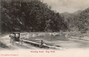 View of the Bog Walk, Rio Cobre, Jamaica, West Indies View of the Bog Walk, Rio Cobre, Jamaica, West Indies